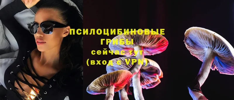 Псилоцибиновые грибы MAGIC MUSHROOMS  shop какой сайт  Белореченск  магазин продажи  